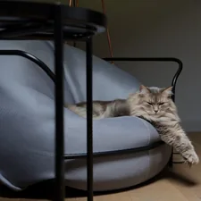 fluffy grace related to Pampering Your Feline Friends: The World of Luxury Cat Beds