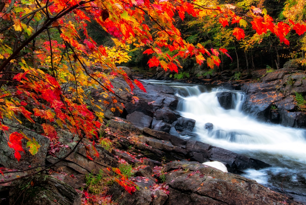Found this little waterfall near Algonquin park.  The river shore was lined with leaves changing colours and a couple of cool little waterfalls like this one. related to Red Waterfall Valance: Add a Touch of Elegance to Your Home