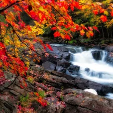 Found this little waterfall near Algonquin park.  The river shore was lined with leaves changing colours and a couple of cool little waterfalls like this one. related to Red Waterfall Valance: Add a Touch of Elegance to Your Home