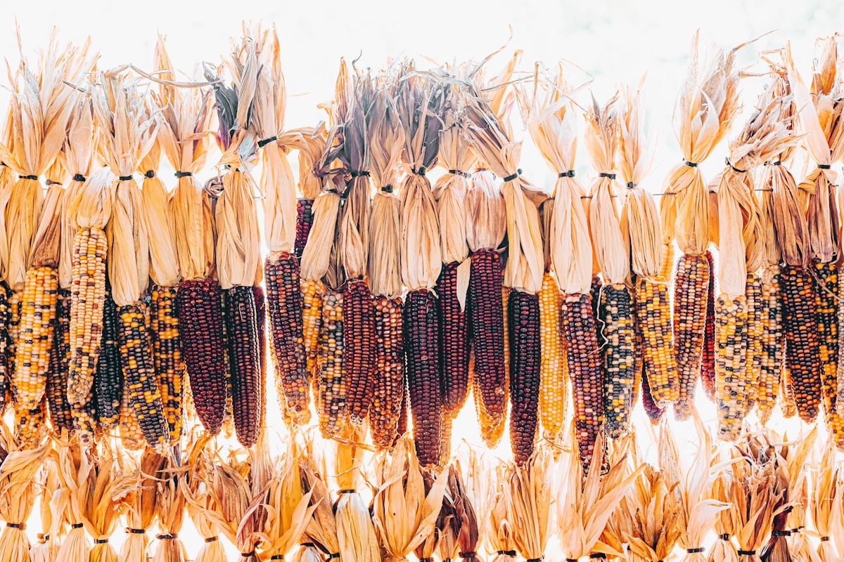 Gem corn haning in North Georgia related to Cornice-Style Valances