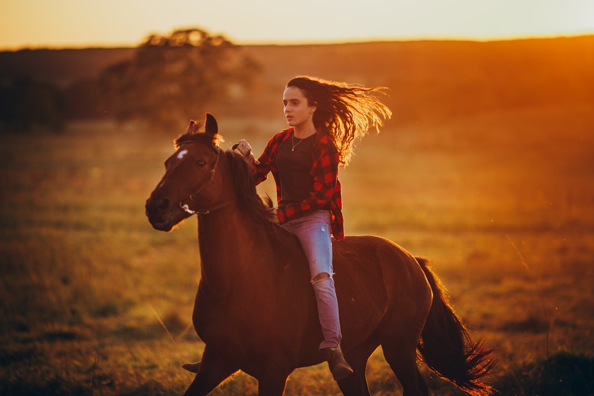 girl in blue denim jacket riding brown horse during daytime related to The Ultimate Guide to Stylish Horse Bedding for Equestrian Girls