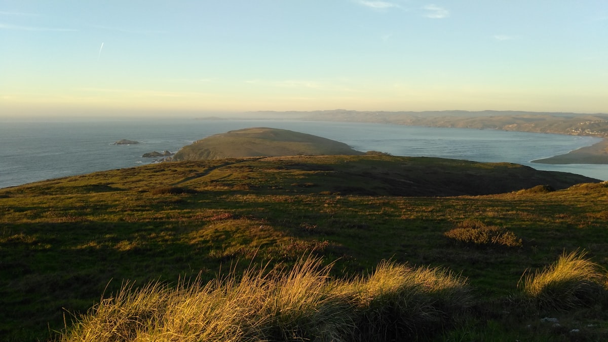 grass field and body of water related to Discover the Best Stays in Point Reyes