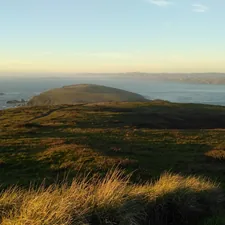 grass field and body of water related to Discover the Best Stays in Point Reyes