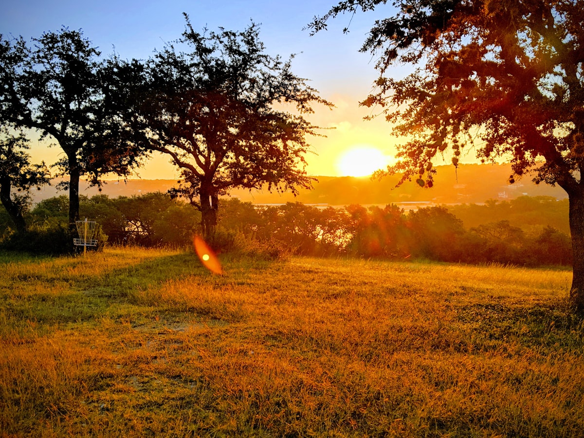 green grass field during sunset related to Cozy Bed and Breakfasts in Austin, TX: A Hidden Gem in the Heart of Texas