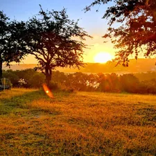 green grass field during sunset related to Cozy Bed and Breakfasts in Austin, TX: A Hidden Gem in the Heart of Texas