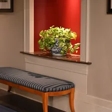 green-leafed plant related to Long Entryway Bench: A Guide to Choosing the Perfect One