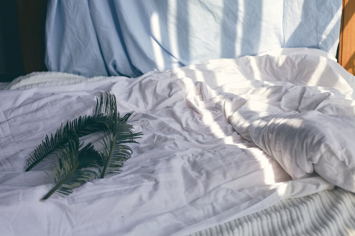 green leaves on white bedspread related to Coverlet vs Comforter: What's the Difference and Which One is Right for You?