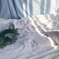 green leaves on white bedspread related to Coverlet vs Comforter: What's the Difference and Which One is Right for You?