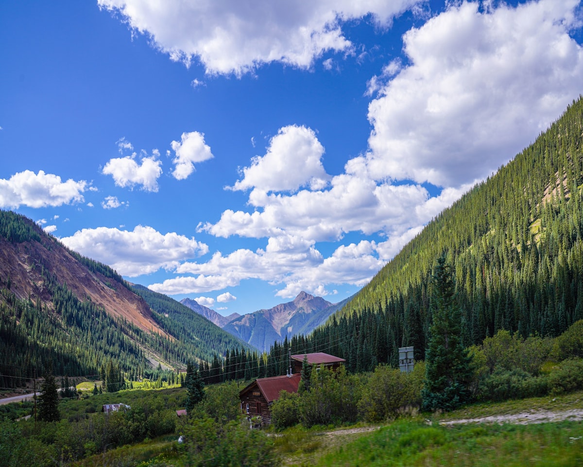 green pine trees near mountain under blue sky during daytime related to Charming Bed and Breakfasts in Colorado: Your Perfect Mountain Getaway