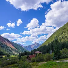 green pine trees near mountain under blue sky during daytime related to Charming Bed and Breakfasts in Colorado: Your Perfect Mountain Getaway