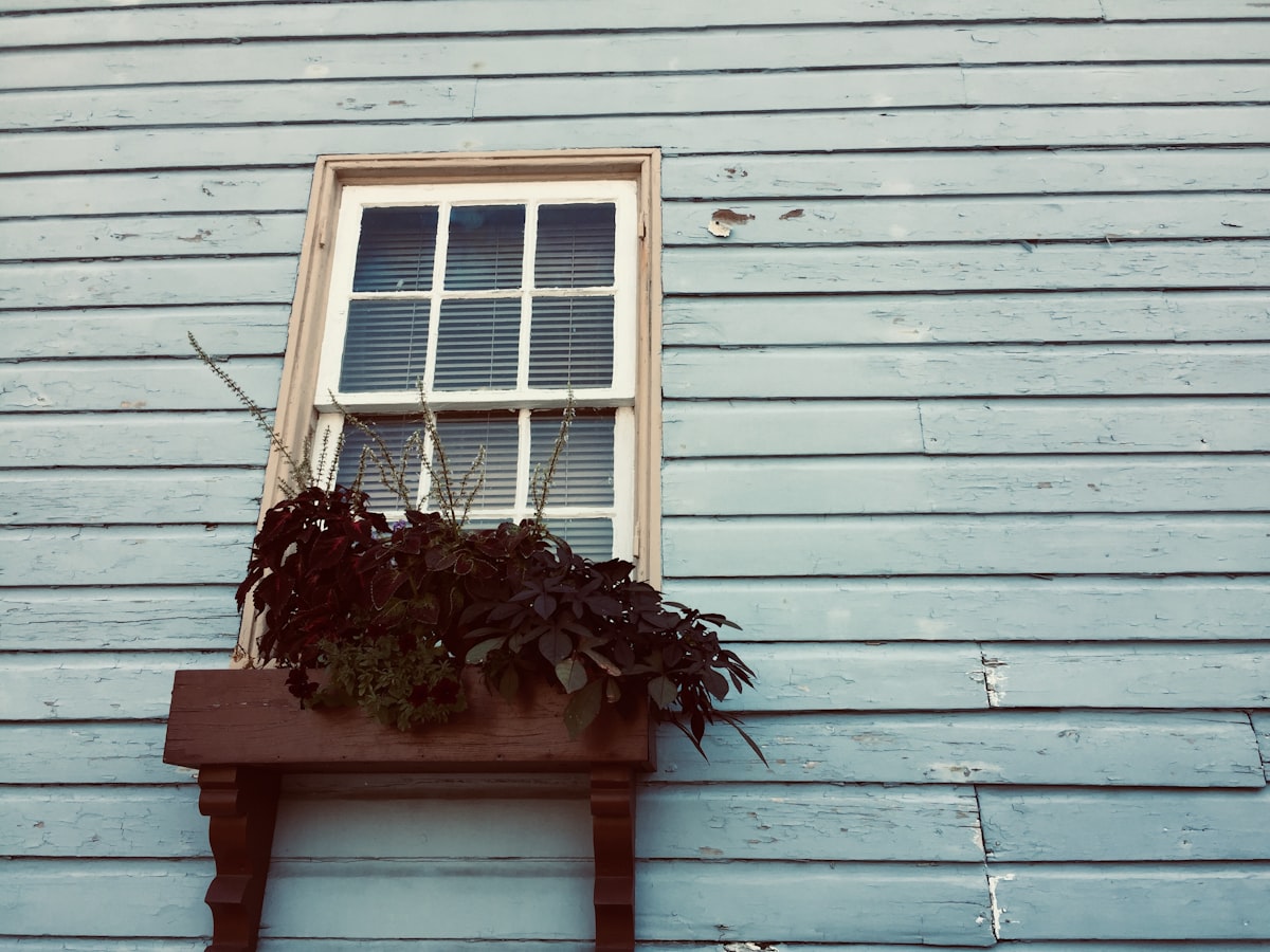 green plant in front of closed window related to Beautiful Slate Blue Valance Home Decor