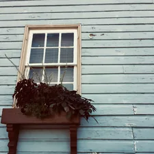 green plant in front of closed window related to Beautiful Slate Blue Valance Home Decor