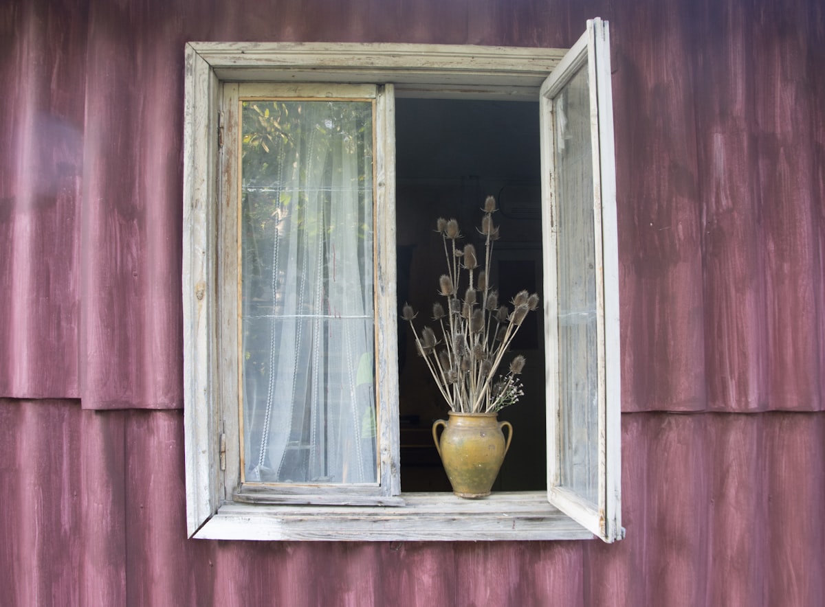 green plant in yellow pot beside window related to Elevate Your Windows with Primitive Charm: A Guide to Primitive Window Valances