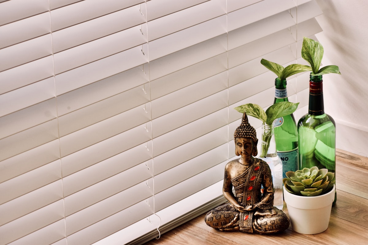 green plant on brown ceramic vase related to Faux Wood Blind Valance Ideas
