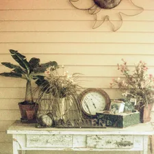 green plant on brown clay pot related to Elevate Your Home's Entrance with a Stylish Metal Entryway Table