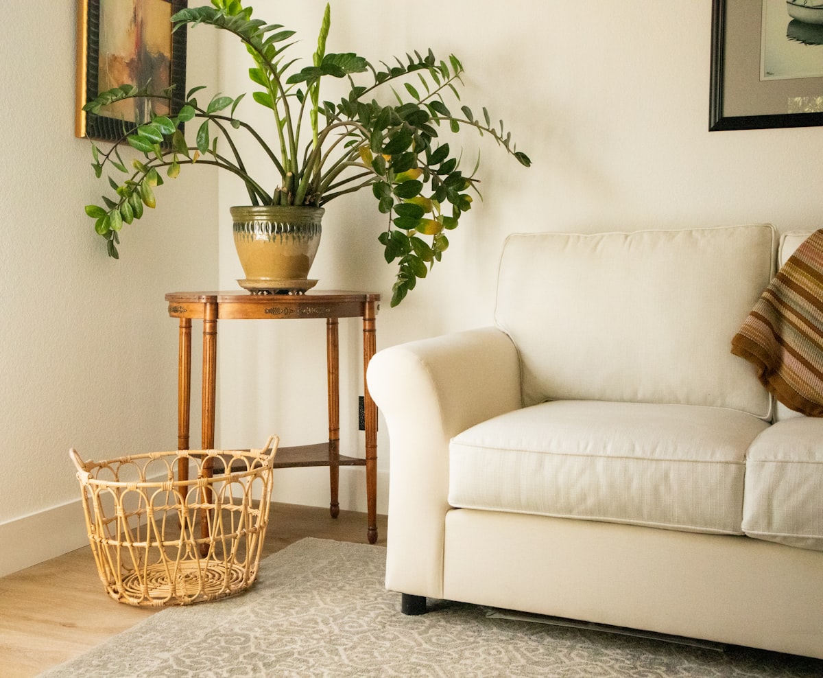 green plant on brown pot beside white sofa related to Elevating Your Home with Woven Wood Valances