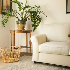 green plant on brown pot beside white sofa related to Elevating Your Home with Woven Wood Valances