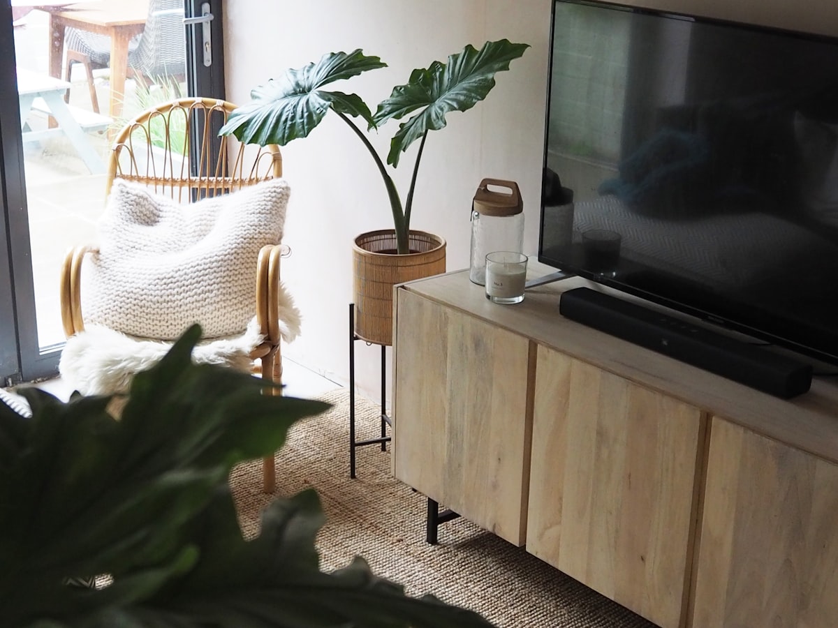 green potted plant on brown wooden table related to Embrace Nature's Elegance: Unveil the Majestic Natural Oak Sideboard