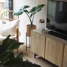 green potted plant on brown wooden table related to Embrace Nature's Elegance: Unveil the Majestic Natural Oak Sideboard