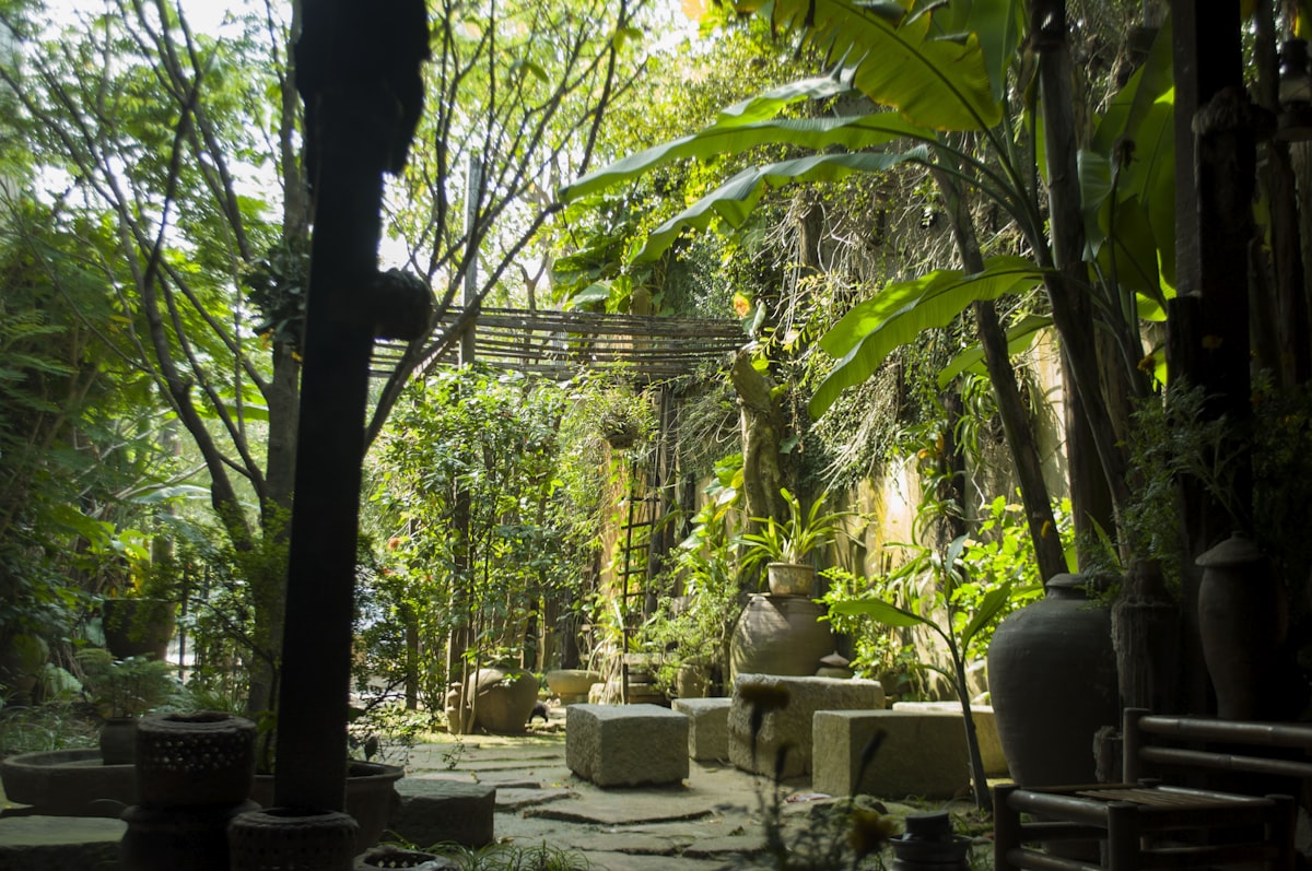 green trees and plants during daytime related to Discover the Tranquil Charm of Blisswood Bed and Breakfast