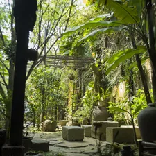 green trees and plants during daytime related to Discover the Tranquil Charm of Blisswood Bed and Breakfast