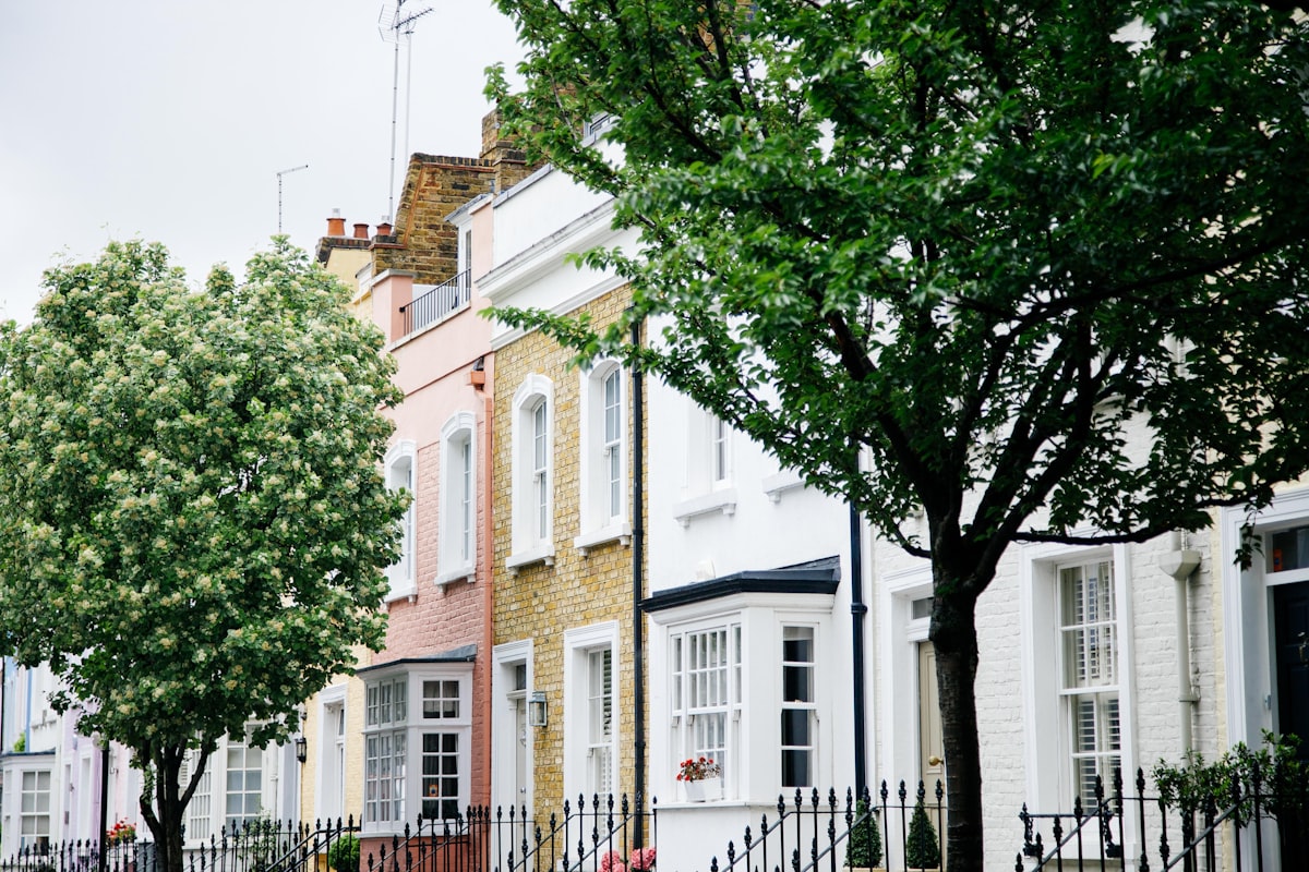 green trees in front of white and brown concrete building during daytime related to Elevate Your Home with London Shade Valance: A Guide