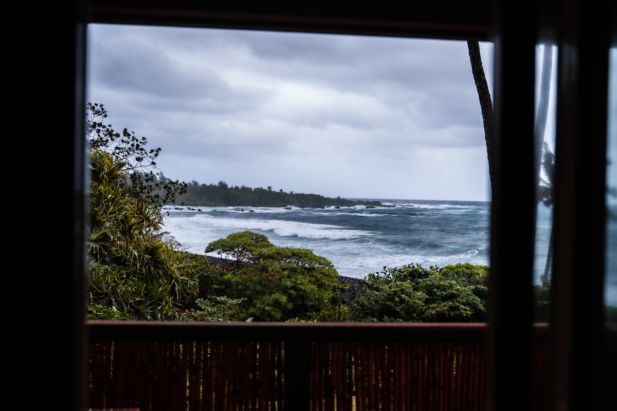 green trees near body of water during daytime related to Discover the Best Bed and Breakfast Maui Has to Offer