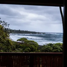 green trees near body of water during daytime related to Discover the Best Bed and Breakfast Maui Has to Offer