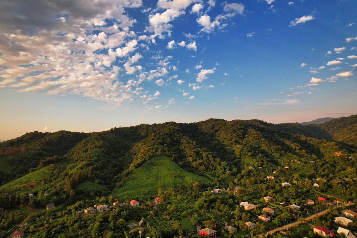 green trees on mountain under blue sky during daytime related to Charming Retreats in Georgia
