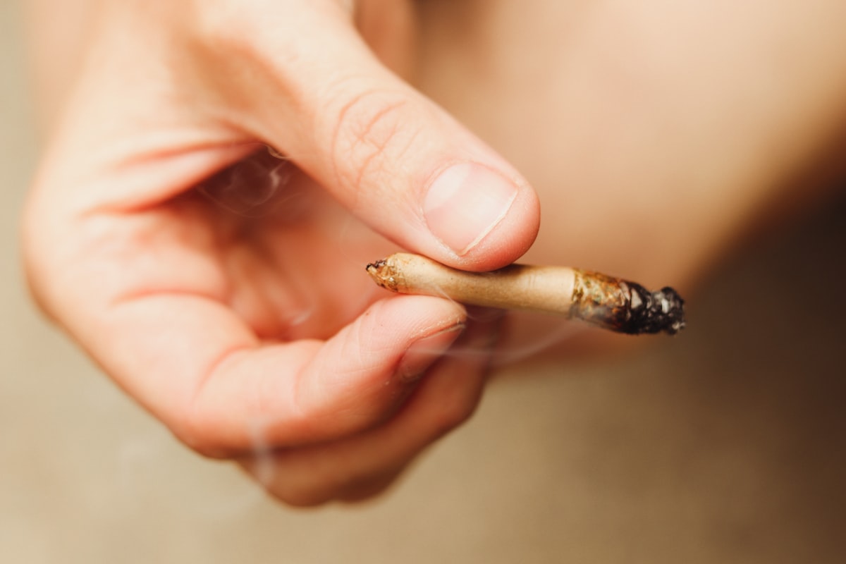 Holding a joint related to The Surprising Truth: Can You Smoke Bed Bugs?