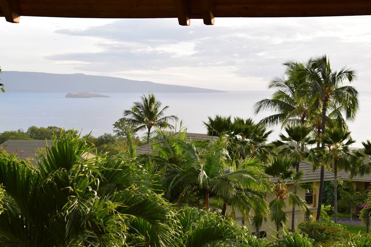 Honeymoon
 related to Discover the Best Bed and Breakfast Maui Has to Offer