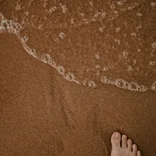 human foot seashore related to Your Ultimate Guide to Bed Bath & Beyond Beach Towels