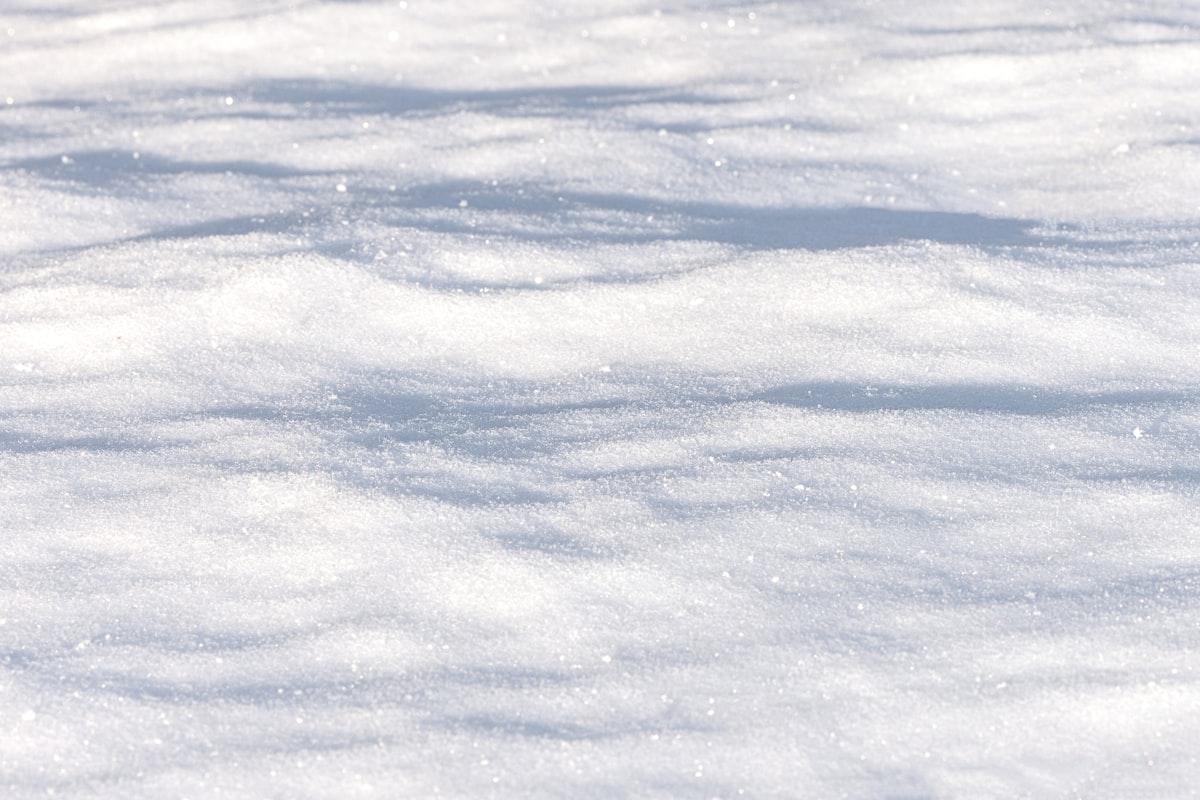Just snow. Sunlit, crisp snow. related to The Chill Factor: Exploring the Trend of Frozen Bed Sheets