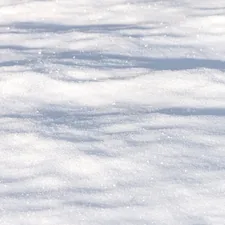 Just snow. Sunlit, crisp snow. related to The Chill Factor: Exploring the Trend of Frozen Bed Sheets
