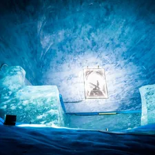 La mer de Glace  related to Ultimate Guide to Frozen Bedding Solutions
