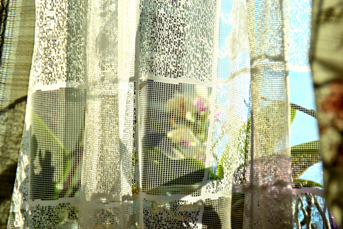 Lace curtains with plants visible through them. related to Lace Valances for Windows: Elegant Window Treatments
