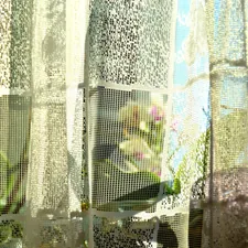 Lace curtains with plants visible through them. related to Lace Valances for Windows: Elegant Window Treatments