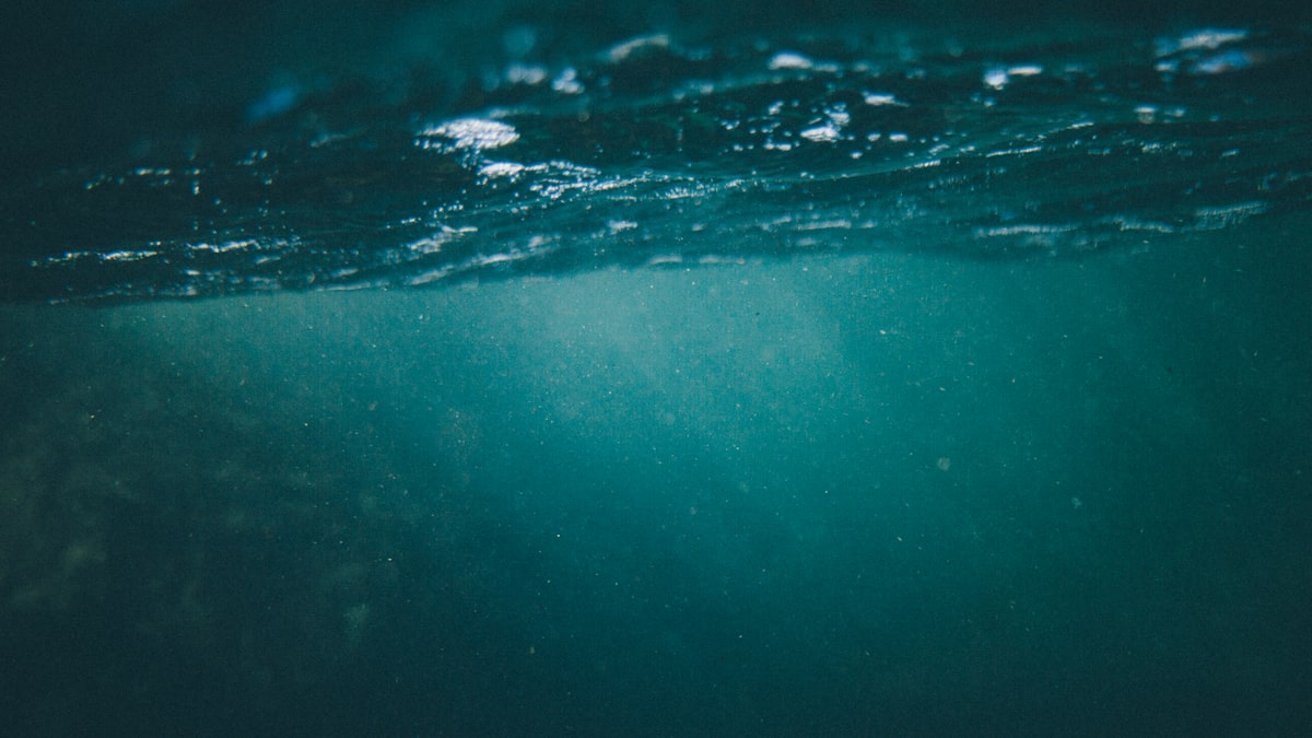 Looking underwater related to Creating the Perfect Underwater Dream Space