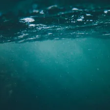 Looking underwater related to Creating the Perfect Underwater Dream Space