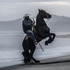 man riding black horse near by seashore related to Western Valances: Elegance for Your Windows