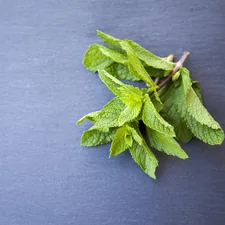 Mint, herb, herbs related to Mint Green Valance: A Fresh and Elegant Window Treatment