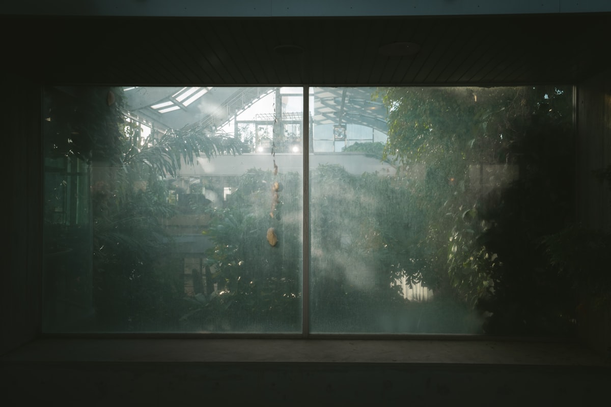 Misty Greenhouse Windows: The ethereal beauty of a greenhouse, where high humidity inside fogs up the windows, creating a dreamlike atmosphere. related to Window Wonderland: Elevate Your Views with Scarves and Valances