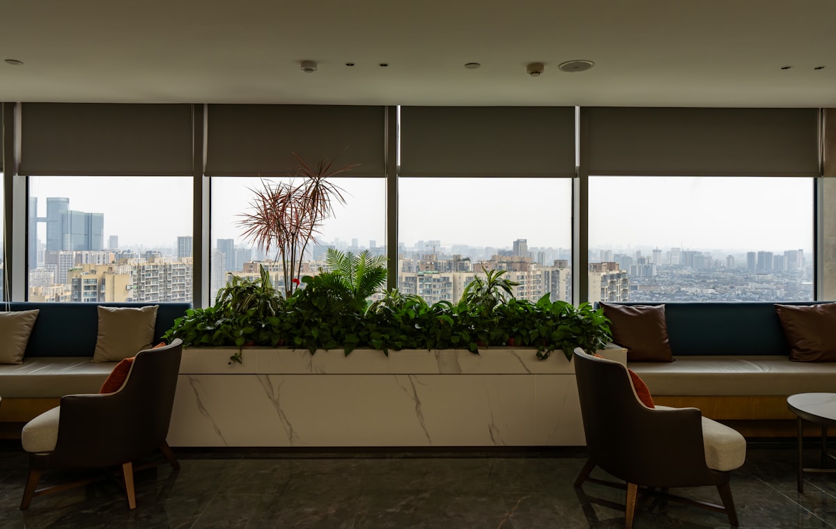 Modern lounge area with city view and plants related to Valance Styles for Dressing Up Large Windows