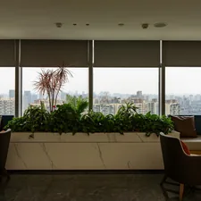 Modern lounge area with city view and plants related to Valance Styles for Dressing Up Large Windows