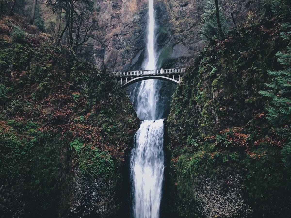 Moody photo of a bridge over a stunning double waterfall between two lush green mountains with lots of moss, leaves, ferns, and evergreen trees. related to Discover the Charm of Hood River Bed and Breakfasts