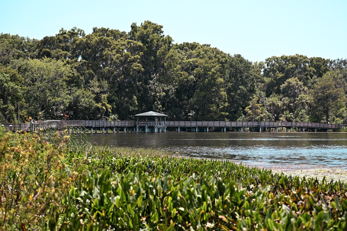 Mount Dora Florida related to Charming Escapes in Mount Dora