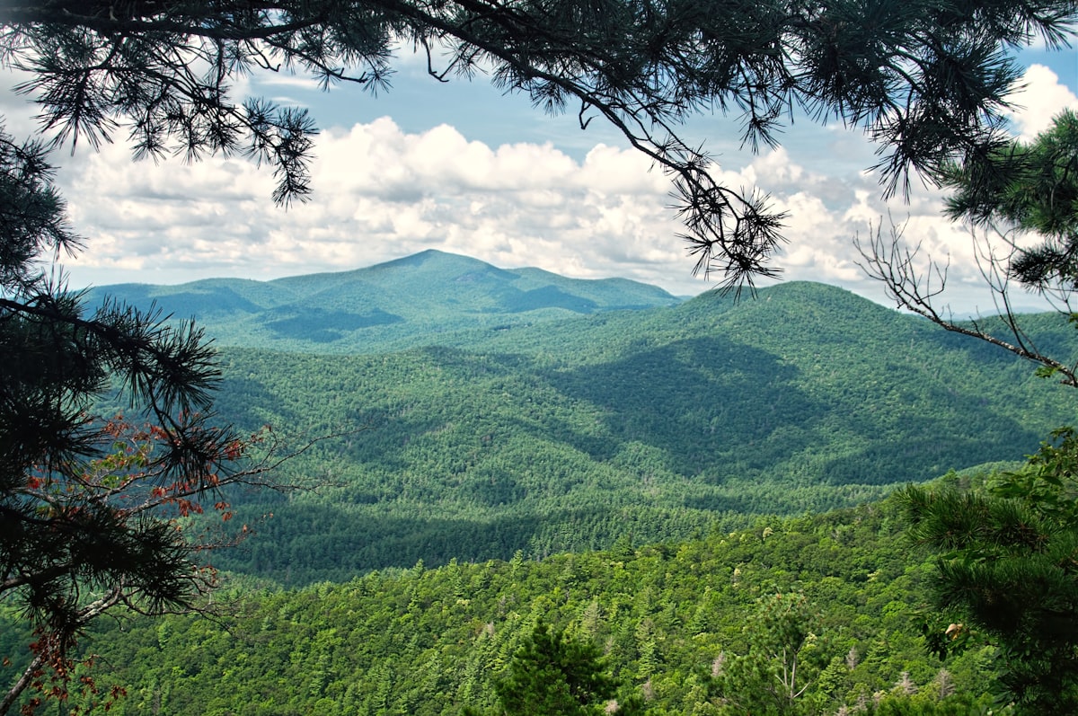 Mountain vista, forest vista, forest, Chinquapin Mountain Trail related to Exploring the Charm of Bed and Breakfasts in Highlands, NC
