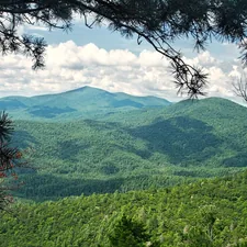 Mountain vista, forest vista, forest, Chinquapin Mountain Trail related to Exploring the Charm of Bed and Breakfasts in Highlands, NC