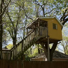 Nature  related to Tree House Bunk Beds: Elevate Your Kids' Sleeping Experience
