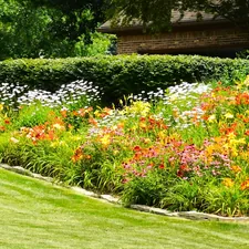 Nice colorful flower garden related to Enhancing Your Garden with Edging